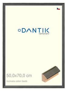 DANTIK rám na obraz 50x70 | INCLINATA colori šedá (Plexi Čiré)
