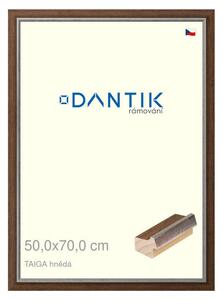 DANTIK rám na obraz 50x70 | TAIGA hnědá (Plexi Čiré)