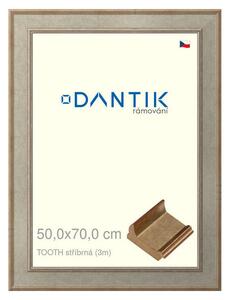 DANTIK rám na obraz 50x70 | TOOTH stříbrná (Plexi Čiré)