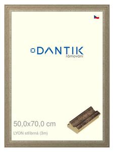 DANTIK rám na obraz 50x70 | LYON stříbrná (Plexi Čiré)
