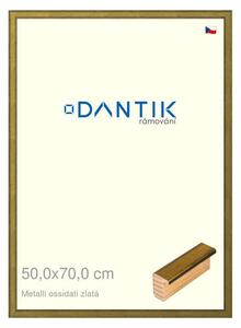 DANTIK rám na obraz 50x70 | Metalli oidati zlatá (Plexi Čiré)