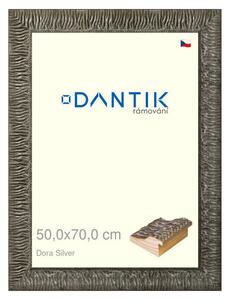DANTIK rám na obraz 50x70 | Dora Silver (Plexi Čiré)