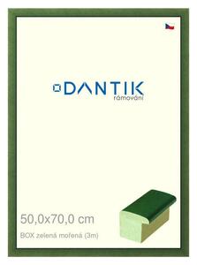 DANTIK rám na obraz 50x70 | BOXzelená mořená (Plexi Čiré)