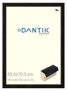 DANTIK rám na obraz 50x70 | WOODLINE černá (Plexi Čiré)