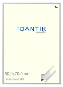 DANTIK rám na obraz 50x70 | ALU Bílá matná (Plexi Čiré)