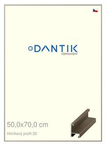 DANTIK rám na obraz 50x70 | ALU champagne (Plexi Čiré)
