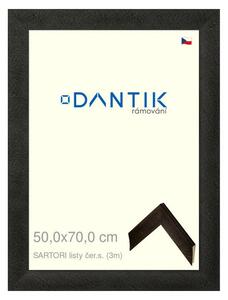 DANTIK rám na obraz 50x70 | SARTORI listy čer.s. (Plexi Čiré)