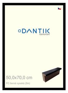 DANTIK rám na obraz 50x70 | FC černá vysoká (Plexi Čiré)