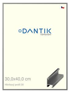 DANTIK rám na obraz 30x40 | ALU Ocelová (Plexi Čiré)