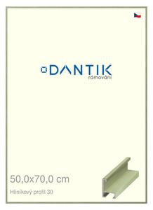DANTIK rám na obraz 50x70 | ALU Dýha barevná zelená pastel (Plexi Čiré)