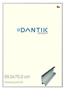 DANTIK rám na obraz 50x70 | ALU Stříbrná matná (Plexi Čiré)