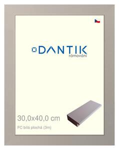 DANTIK rám na obraz 30x40 | FC Bílá plochá (Plexi Čiré)