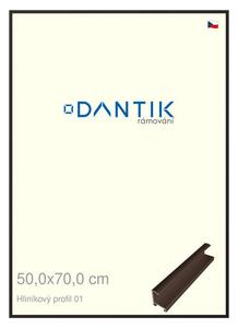 DANTIK rám na obraz 50x70 | ALU Hnědá matná (Plexi Čiré)