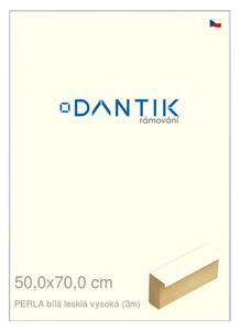 DANTIK rám na obraz 50x70 | PERLA bílá lesklá vysoká (Plexi Čiré)
