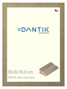 DANTIK rám na obraz 50x70 | ANDRÉ velká champagne (Plexi Čiré)