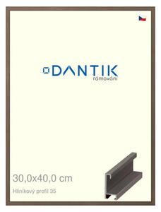 DANTIK rám na obraz 30x40 | ALU Hnědá tmavá (Plexi Čiré)