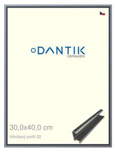 DANTIK rám na obraz 30x40 | ALU Platina matná (Plexi Čiré)