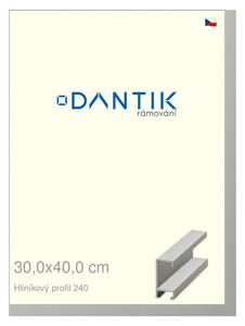 DANTIK rám na obraz 30x40 | ALU Stříbrná matná (Plexi Čiré)