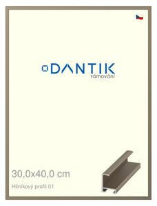 DANTIK rám na obraz 30x40 | ALU champagne (Plexi Čiré)
