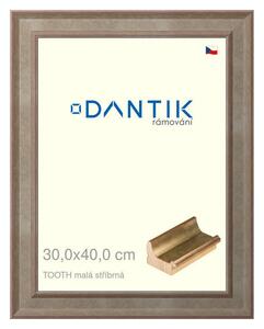 DANTIK rám na obraz 30x40 | TOOTH malá stříbrná (Plexi Čiré)