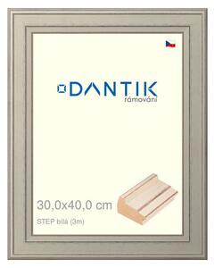 DANTIK rám na obraz 30x40 | STEP bílá (Plexi Čiré)