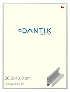 DANTIK rám na obraz 30x40 | ALU Dýha barevná šedá světlá (Plexi Čiré)
