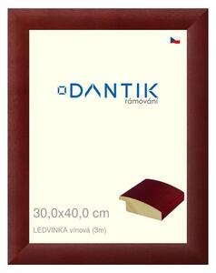 DANTIK rám na obraz 30x40 | LEDVINKA vínová (Plexi Čiré)