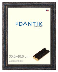 DANTIK rám na obraz 30x40 | LYON černá (Plexi Čiré)