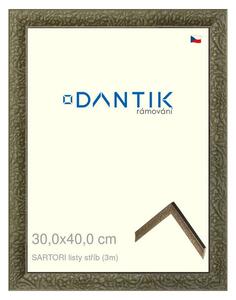 DANTIK rám na obraz 30x40 | SARTORI listy stříb (Plexi Čiré)