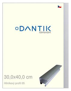 DANTIK rám na obraz 30x40 | ALU Stříbrná matná (Plexi Čiré)