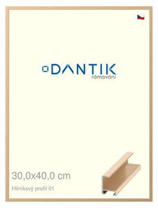 DANTIK rám na obraz 30x40 | ALU Zlatá lesklá (Plexi Čiré)