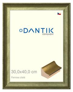 DANTIK rám na obraz 30x40 | Ferrosa zlatá (Plexi Čiré)