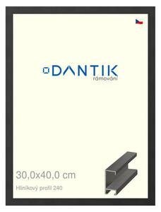 DANTIK rám na obraz 30x40 | ALU Černá matná (Plexi Čiré)