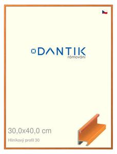 DANTIK rám na obraz 30x40 | ALU Dýha barevná oranžová (Plexi Čiré)