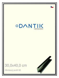 DANTIK rám na obraz 30x40 | ALU Šedá leská (Plexi Čiré)