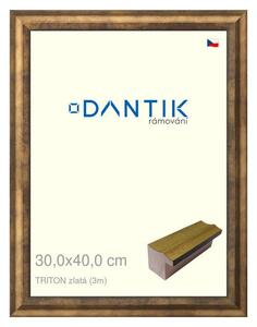 DANTIK rám na obraz 30x40 | TRITON zlatá (Plexi Čiré)