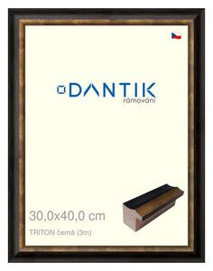 DANTIK rám na obraz 30x40 | TRITON černá (Plexi Čiré)