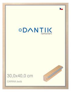 DANTIK rám na obraz 30x40 | CARINA šedá (Plexi Čiré)