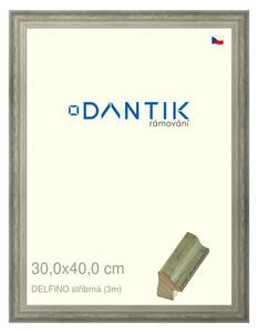 DANTIK rám na obraz 30x40 | DELFINO stříbrná (Plexi Čiré)