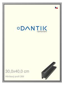 DANTIK rám na obraz 30x40 | ALU Šedá leská (Plexi Čiré)