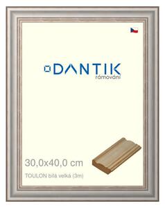 DANTIK rám na obraz 30x40 | TOULON bílá velká (Plexi Čiré)