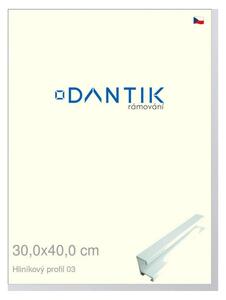DANTIK rám na obraz 30x40 | ALU Bílá matná (Plexi Čiré)