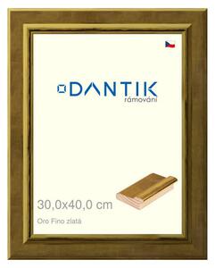 DANTIK rám na obraz 30x40 | Oro Fino zlatá (Plexi Čiré)