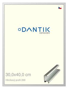 DANTIK rám na obraz 30x40 | ALU Stříbrná matná (Plexi Čiré)