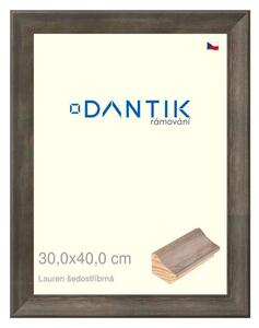 DANTIK rám na obraz 30x40 | Lauren šedostříbrná (Plexi Čiré)