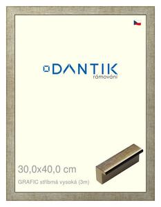 DANTIK rám na obraz 30x40 | GRAFIC stříbrná vysoká (Plexi Čiré)
