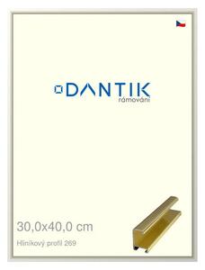 DANTIK rám na obraz 30x40 | ALU Zlatá lesklá (Plexi Čiré)