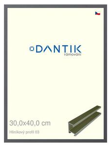 DANTIK rám na obraz 30x40 | ALU Platina matná (Plexi Čiré)