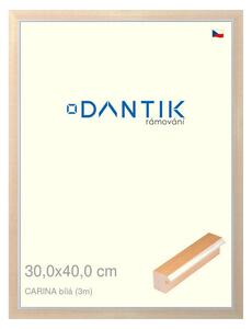 DANTIK rám na obraz 30x40 | CARINA Bílá (Plexi Čiré)