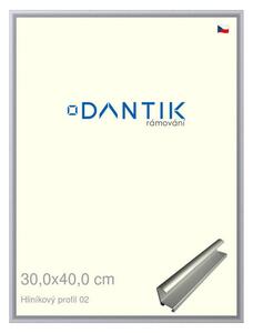 DANTIK rám na obraz 30x40 | ALU Stříbrná matná (Plexi Čiré)
